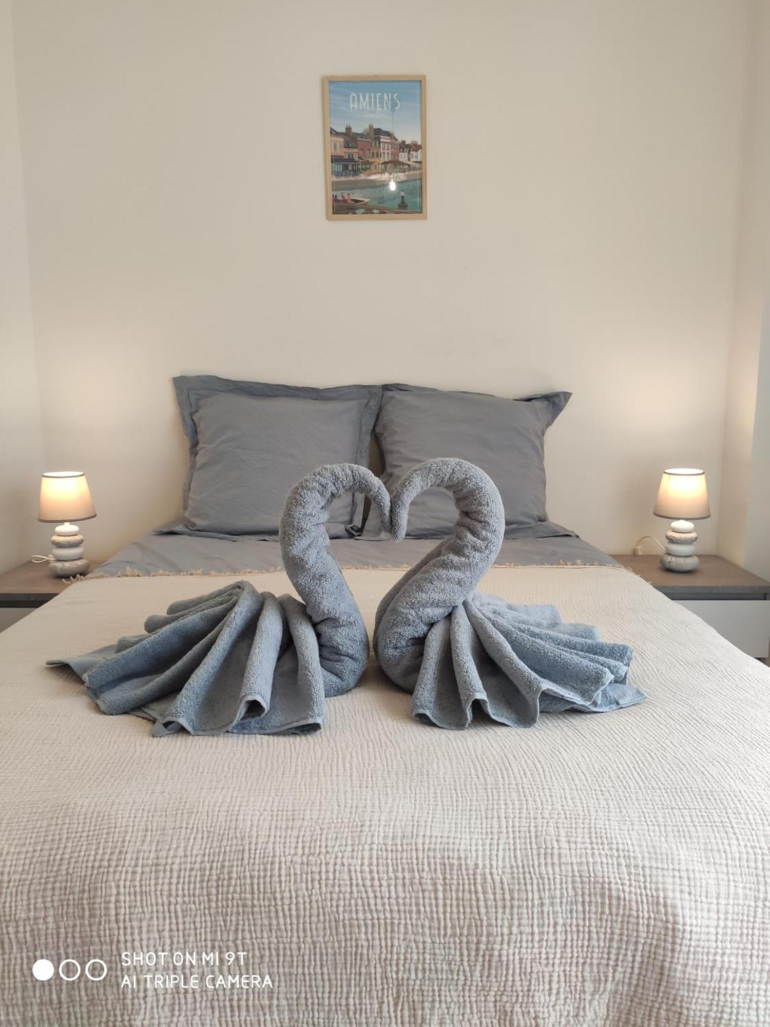 Sublime T2 Lumineux Avec Balcon - Rue Gratuite Appartement Amiens